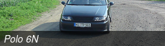 Polo 6N