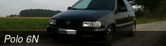 Polo 6N