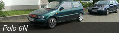 Polo 6N