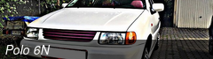 Polo 6N